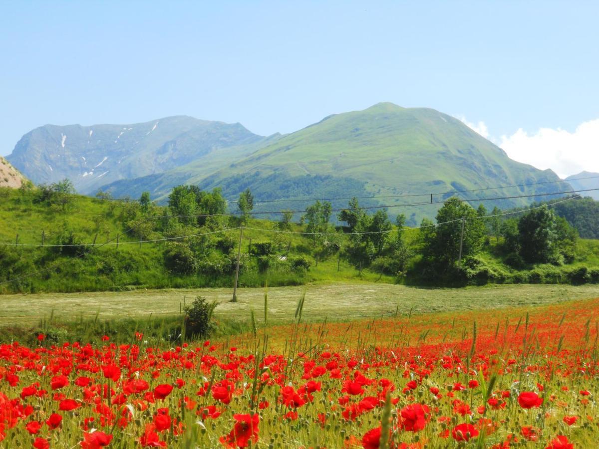 Agriturismo Le Castellare Montemonaco Dış mekan fotoğraf