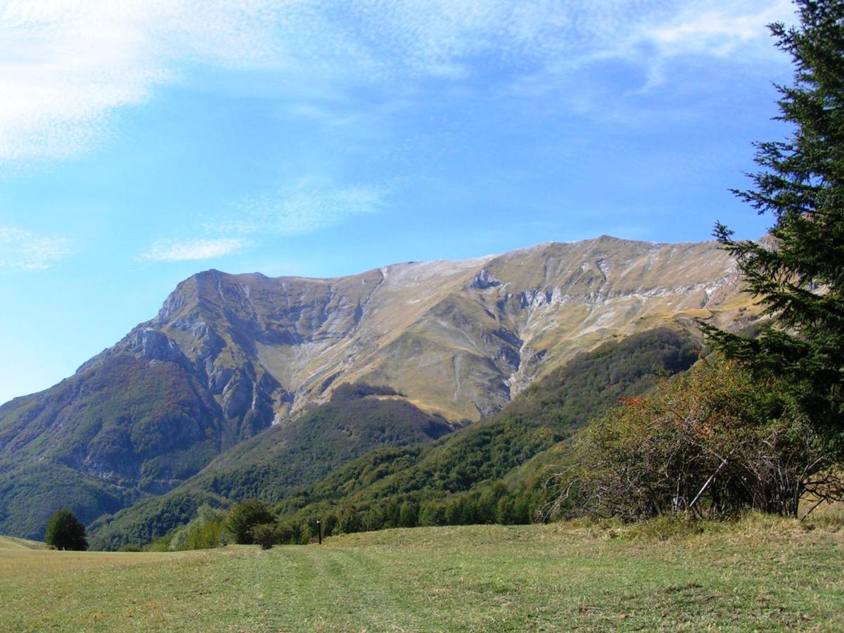 Agriturismo Le Castellare Montemonaco Dış mekan fotoğraf