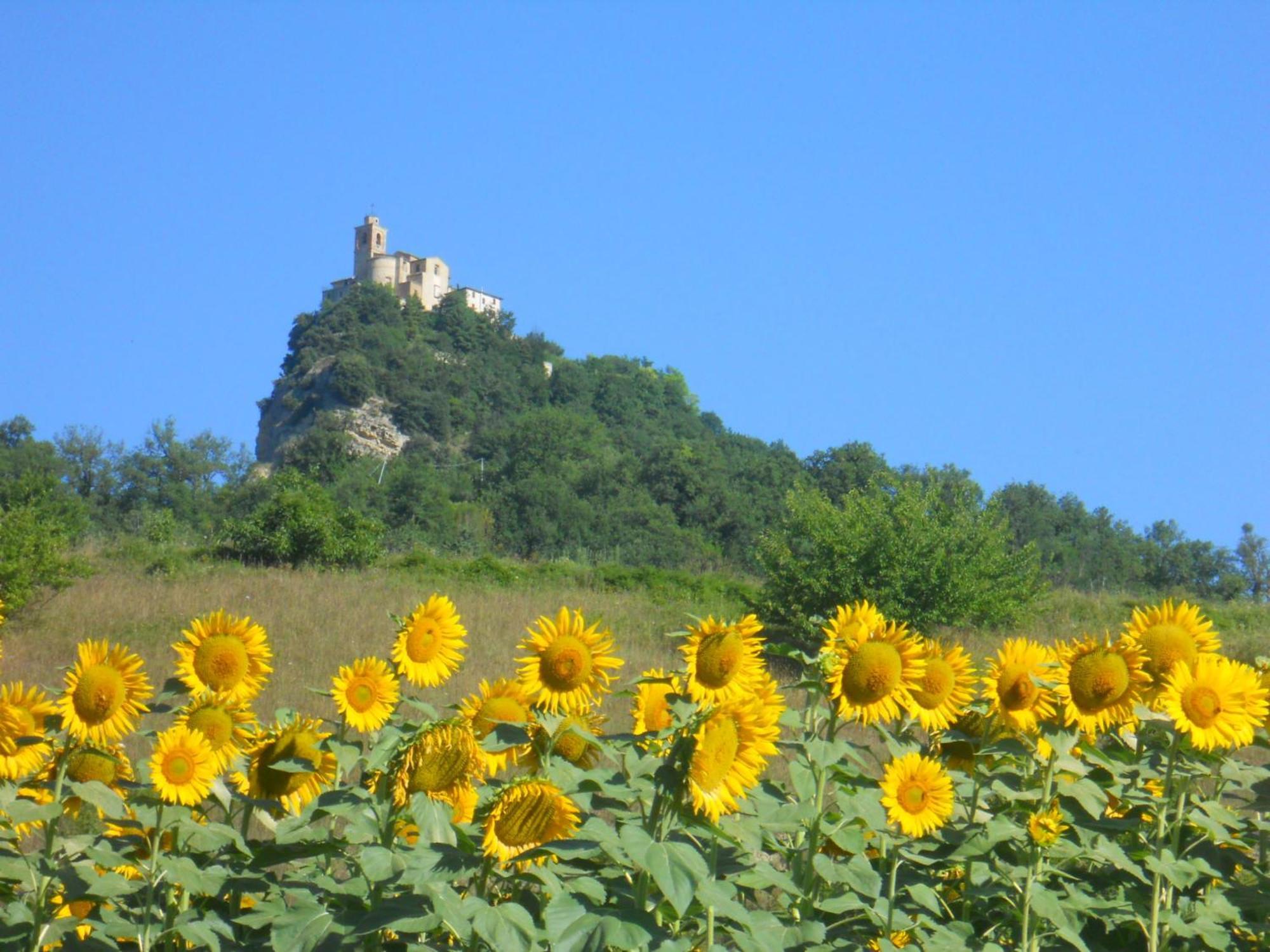 Agriturismo Le Castellare Montemonaco Dış mekan fotoğraf