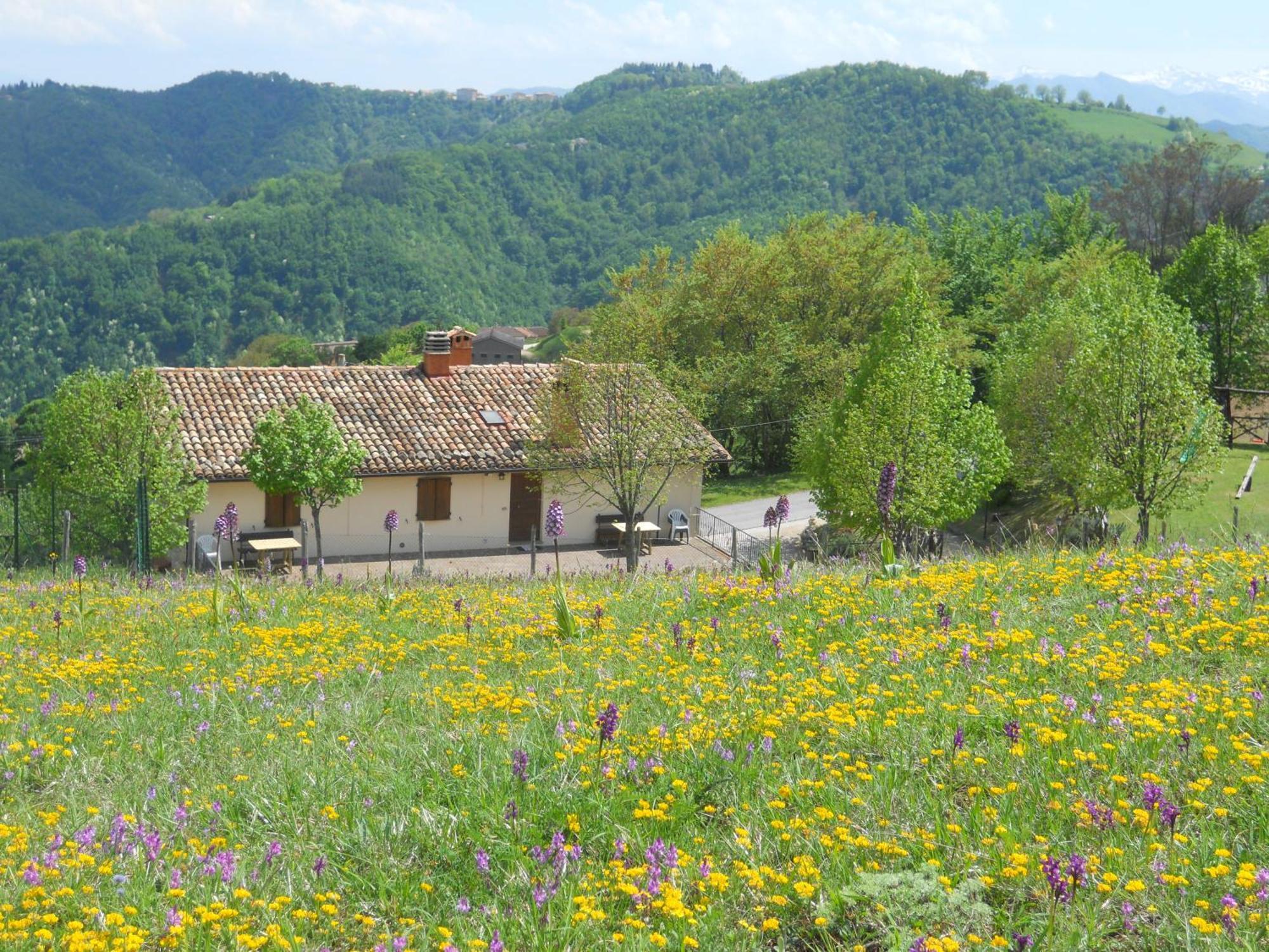 Agriturismo Le Castellare Montemonaco Dış mekan fotoğraf