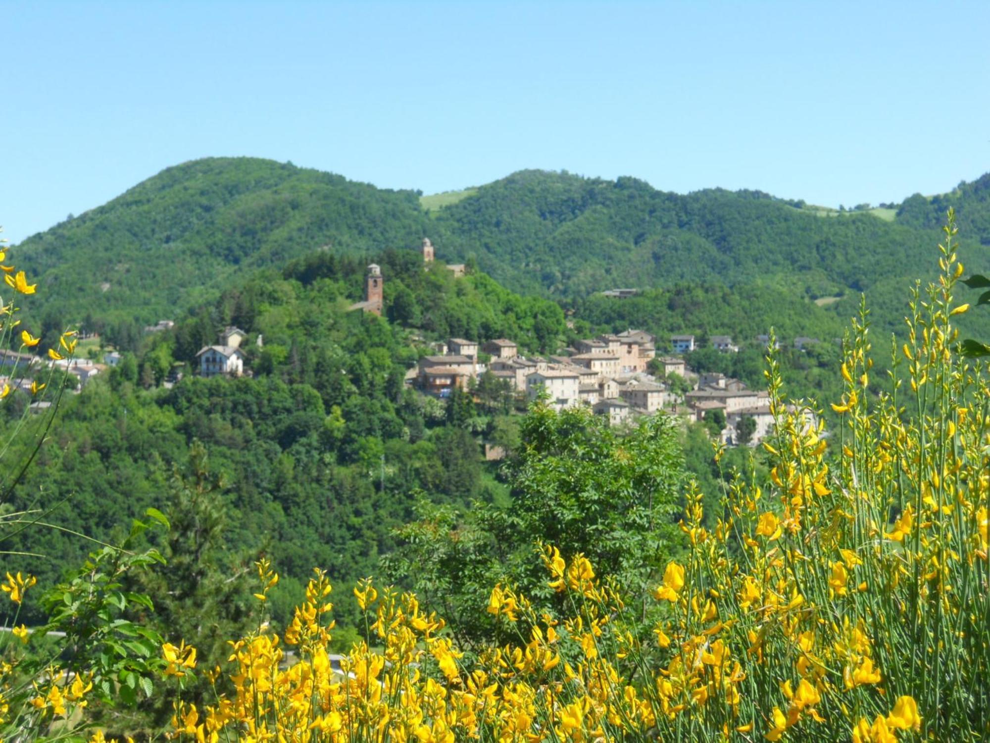 Agriturismo Le Castellare Montemonaco Dış mekan fotoğraf