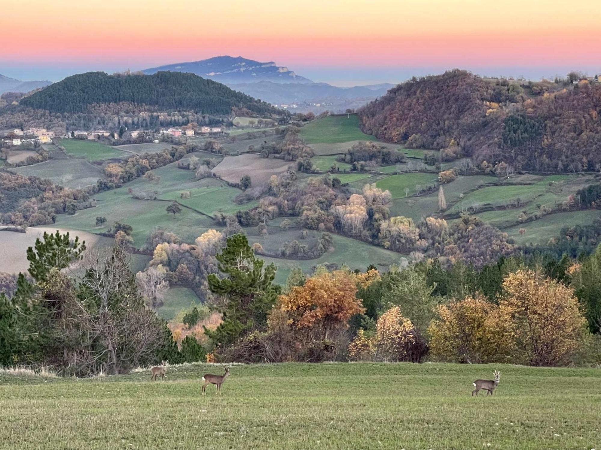 Agriturismo Le Castellare Montemonaco Dış mekan fotoğraf