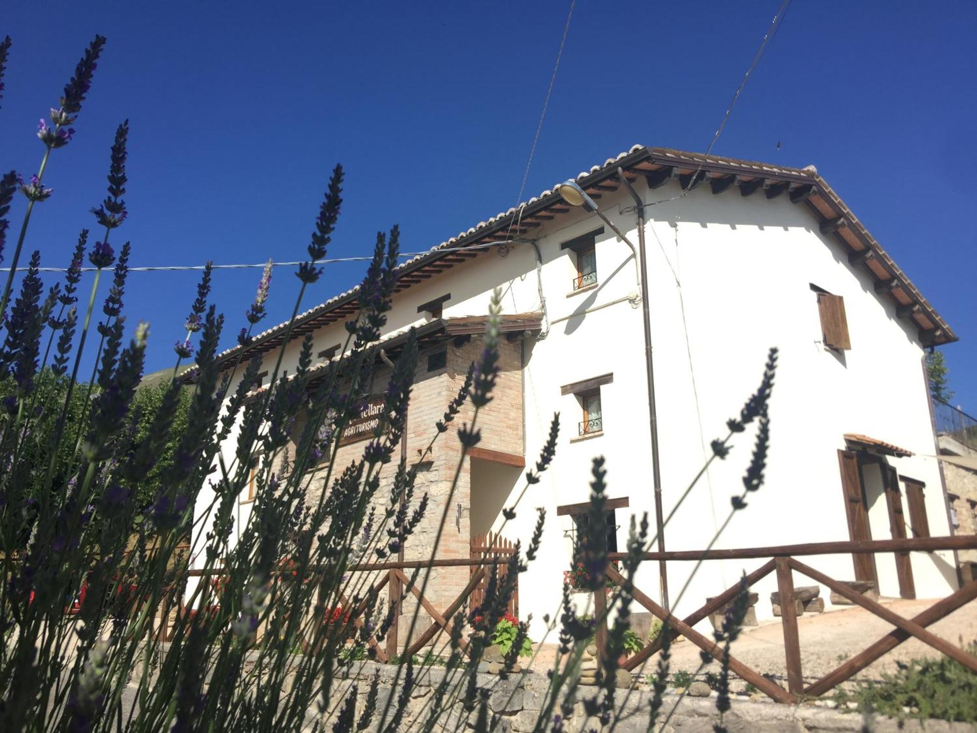 Agriturismo Le Castellare Montemonaco Dış mekan fotoğraf
