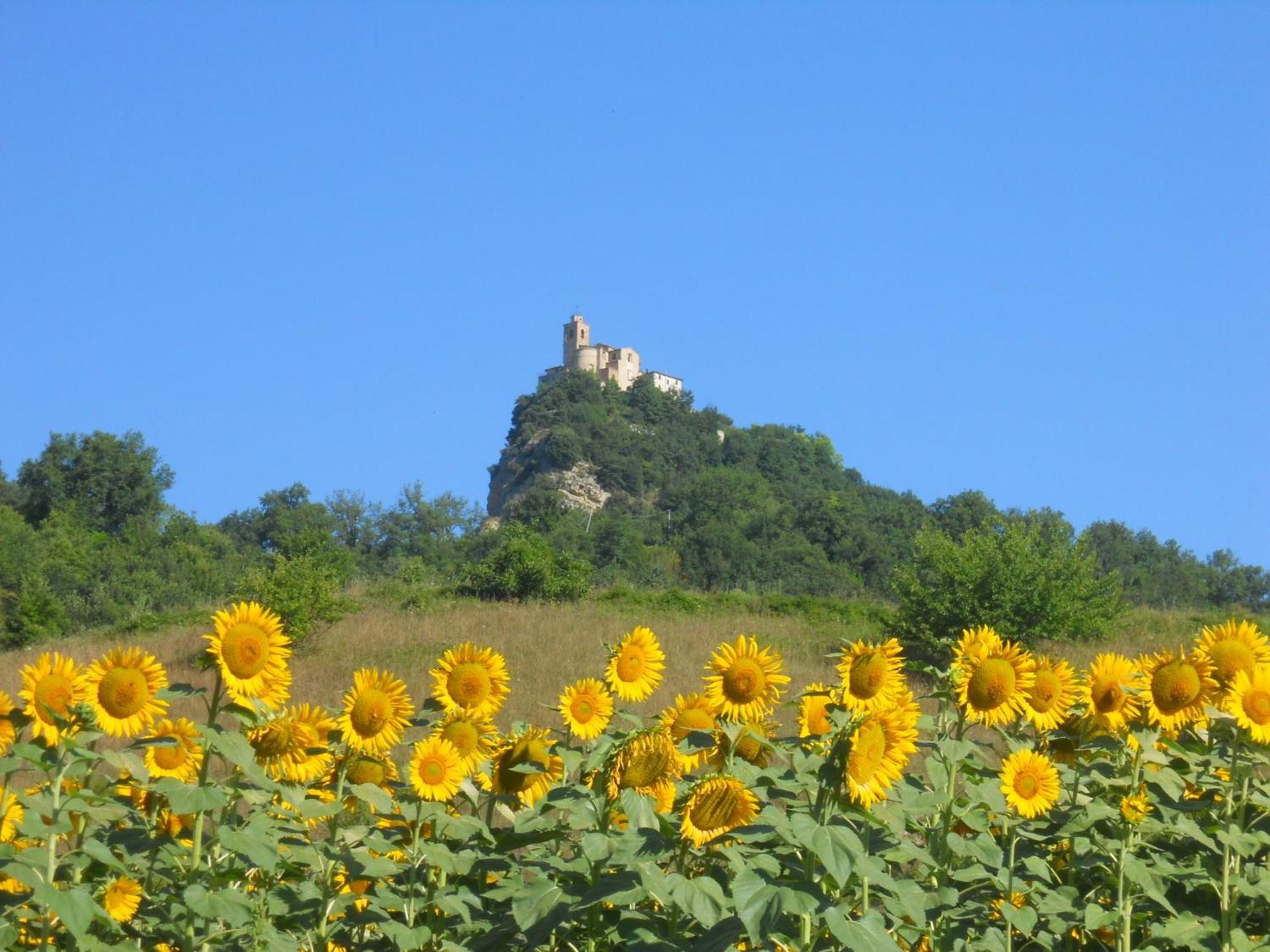 Agriturismo Le Castellare Montemonaco Dış mekan fotoğraf