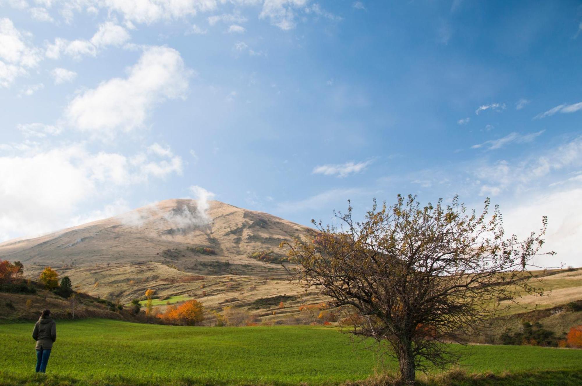 Agriturismo Le Castellare Montemonaco Dış mekan fotoğraf